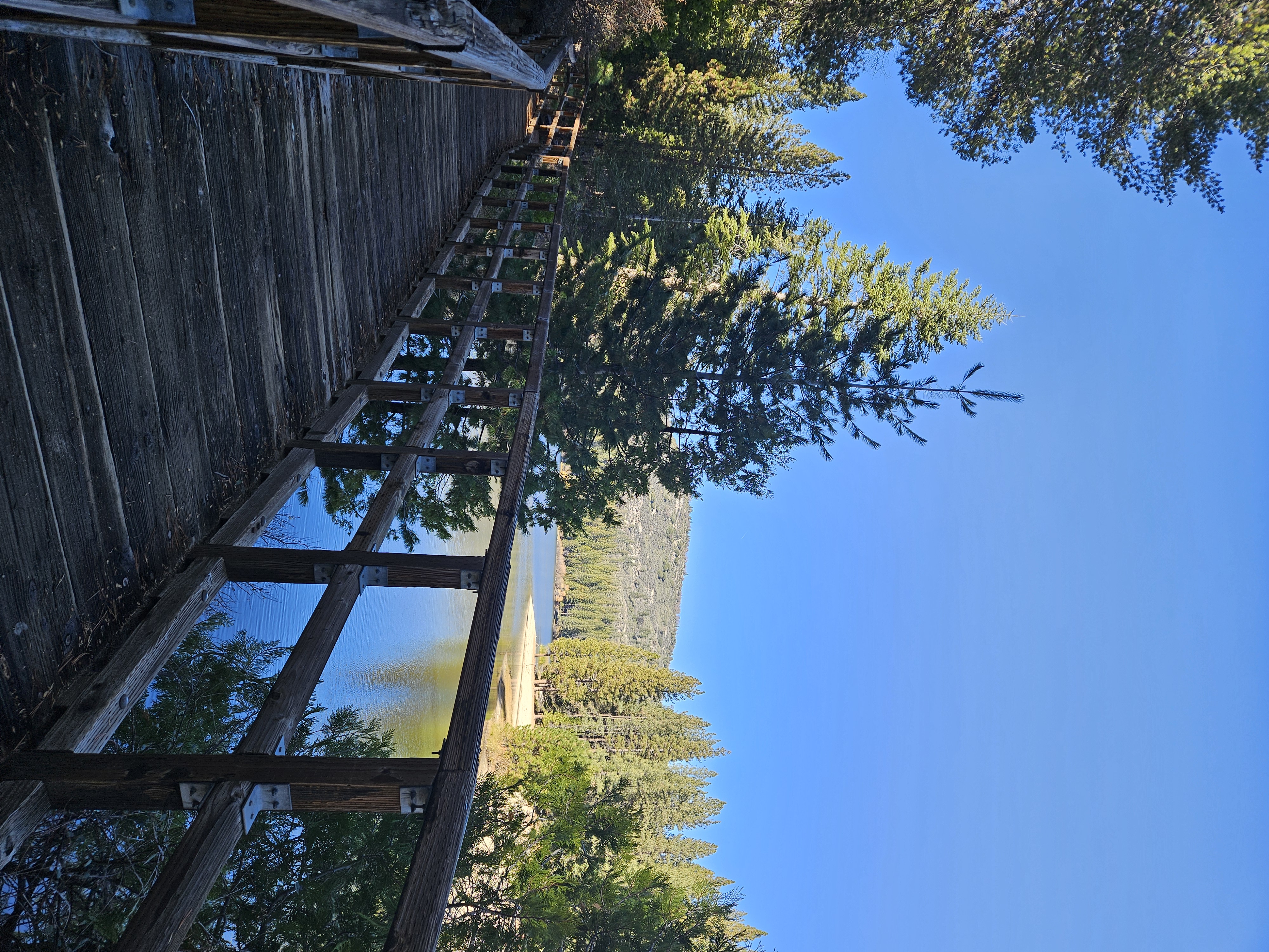 A wood bridge path