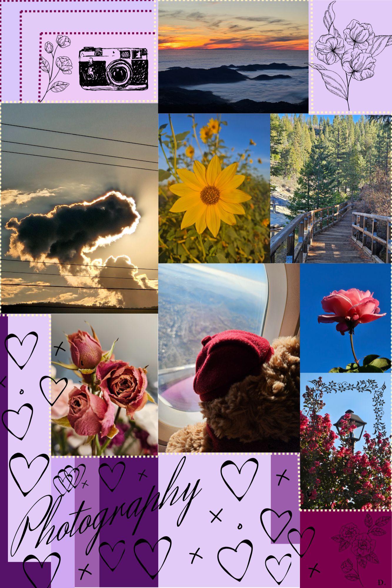 My Collage
